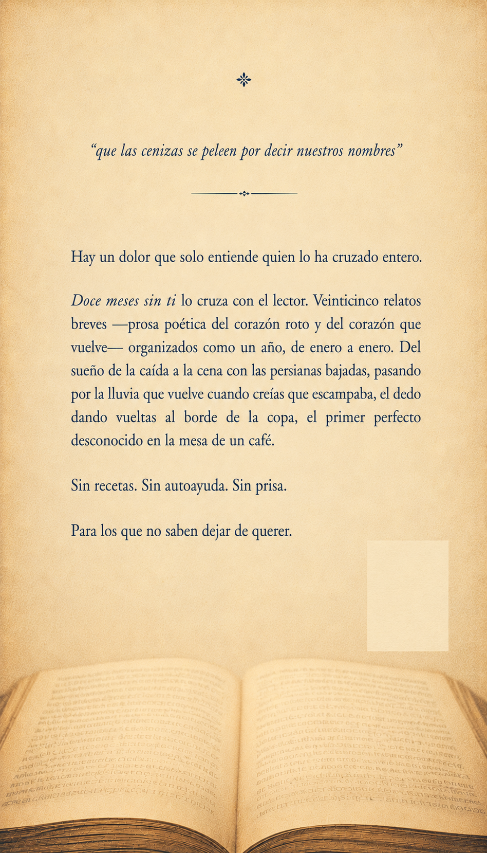Contraportada de Doce meses sin ti con la sinopsis del libro y la cita pull-quote.